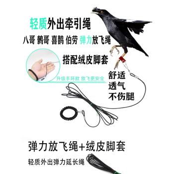 鳥用輕便放飛繩八哥鷯哥白頸烏鴉伯勞外出牽引遛鳥繩不傷腳絨皮腳