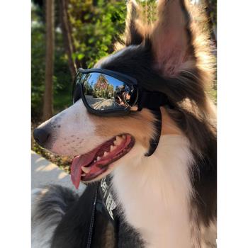 狗狗眼鏡寵物專用墨鏡護目鏡柯基邊牧金毛防風太陽鏡泰迪犬游泳鏡