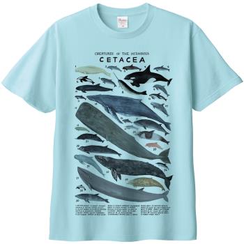 鯨類短袖T恤 手繪海洋館動物生物鯨魚海豚科目親子裝純棉染印夏季