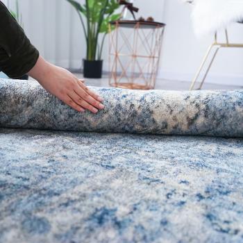 輕奢客廳地毯北歐現代簡約藍色耐臟地墊沙發茶幾墊臥室房間床邊毯