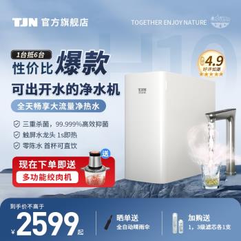 德國TJN(特潔恩)即熱式飲水機家用凈水器直飲加熱一體機RO反滲透