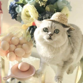 貓咪仿真雞蛋玩具 秒變田園小農戶 貓狗互動球形逗貓玩具單個賣