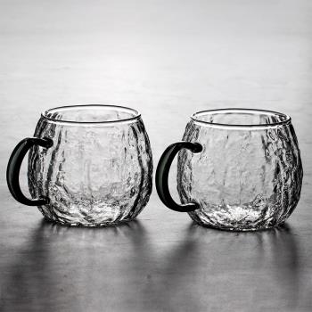 耐熱玻璃水杯子 家用客廳茶杯套裝 耐高溫可微波爐牛奶杯