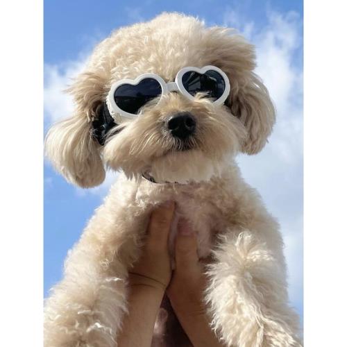 寵物眼鏡狗狗貓咪太陽鏡防紫外線防風愛心護目鏡衣服配飾通用白色