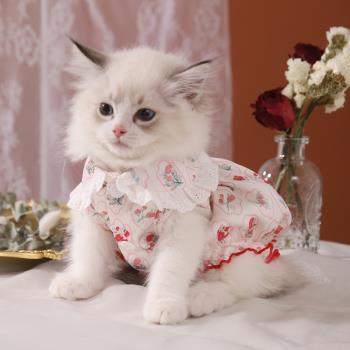 寵物貓咪衣服夏天透氣可愛連衣裙防掉毛復古貓貓裙子布偶夏季薄款