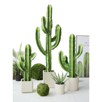 模擬仙人掌北歐落地大型號假植物仙人柱盆栽熱帶沙漠綠植櫥窗擺件