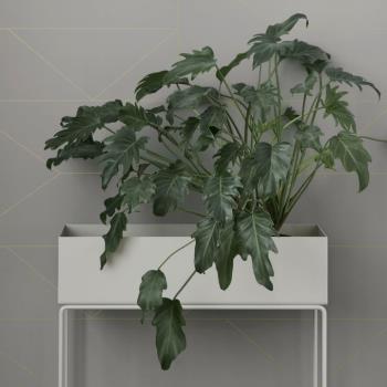 fermLIVING PLANT BOX系列多功能金屬花架/收納架 現代 置物 簡
