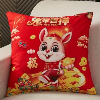 雙面短毛絨兔年抱枕客廳沙發紅色枕套汽車辦公室護腰靠墊節日禮品
