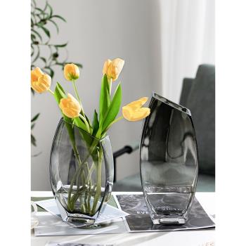 北歐客廳干花花瓶玻璃網紅ins簡約現代水培鮮花裝飾插花花器擺件