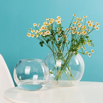 花瓶玻璃圓球形加厚透明魚缸現代簡約客廳餐廳裝飾家居電視柜花器