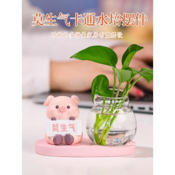 水培花盆器皿花瓶透明玻璃客廳辦公桌桌面工位裝飾品莫生氣小擺件