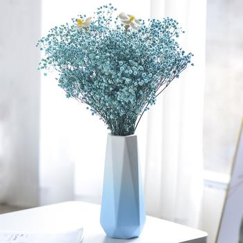 高階感鮮花水養花瓶陶瓷北歐ins風網紅擺件客廳餐桌插花裝飾品