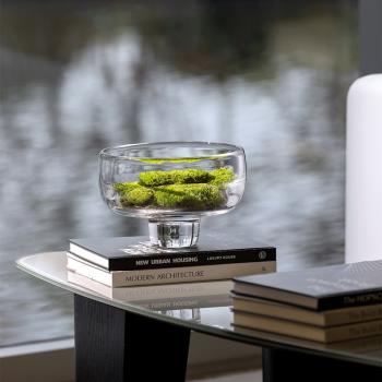 大口徑水晶玻璃花瓶花器永生綠植餐桌臥室床頭柜衛生間小花藝擺件