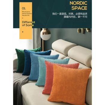 加厚天鵝絨靠墊套客廳沙發抱枕床頭靠背枕辦公室椅子珊瑚絨不含芯