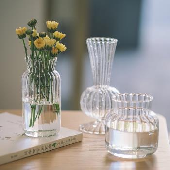 創意網紅日式ins風輕奢迷你小花瓶擺件客廳插花透明玻璃水養鮮花