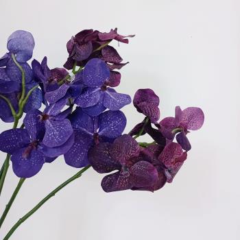 仿真萬代蘭 高品質家居玄關插花北歐假花 千代蘭紫藍色藝術配材