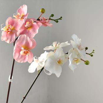 高品質手感單頭白色蝴蝶蘭仿真花客廳蘭花假花擺件餐桌裝飾花配材