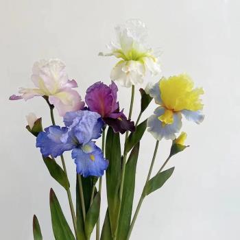 品質花 仿真鳶尾愛麗絲 暈染仿真花拍攝道具花藝軟裝花藝造型