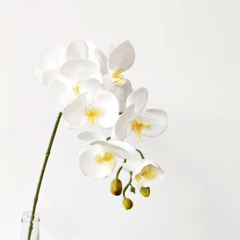 仿真品質9頭白色蝴蝶蘭 花藝設計假花北歐餐桌裝飾花藝軟裝婚慶