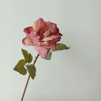 仿真花 安娜玫瑰 仿干枯玫瑰 復古油畫風 單枝假花 軟裝 攝影道具