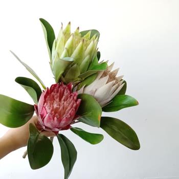 家居飾品模擬花卉假花裝飾 帝王花 客廳餐桌茶幾插花瓶花藝擺設品