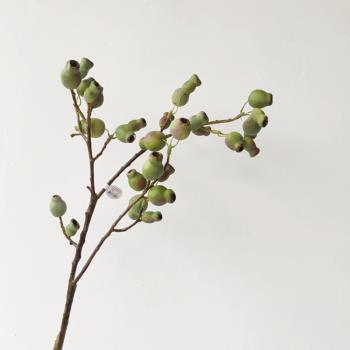 美式模擬殭屍果單枝果實軟裝插花裝飾配材仿真植物家居餐桌擺放花