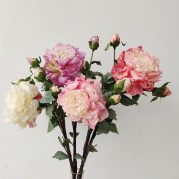 法式宮廷油畫仿真干花牡丹花大朵假花典雅客廳餐桌花裝飾花插花