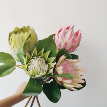 仿真花白帝王花假花熱帶植物擺設花卉 客廳軟裝飾品餐桌樣板間擺
