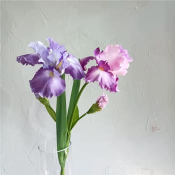 假花鳶尾蘭愛麗絲仿真花絹布絲花 拍寫真攝影花黑紫色裝飾擺件花