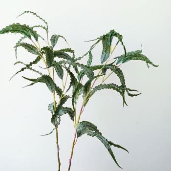 高質北歐復古風仿真植物5枝札手感彎形尤加利葉軟裝陳列攝影道具