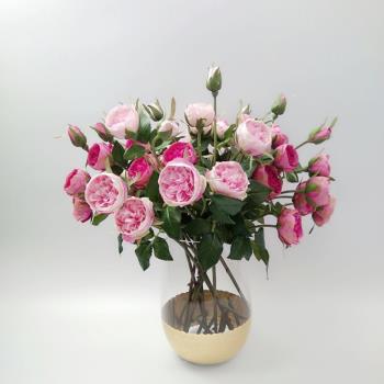 北歐卡密拉玫瑰歐式月季復古高仿真5頭法式含笑薔薇玫瑰攝影道具