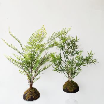 仿真蕨類植物盆栽蕨葉竹子盆栽景新中式樣板房裝飾茶室擺件