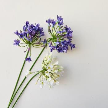 仿真白色藍色百子蓮高端花材歐式假花花束裝飾客廳臥室拍攝道具