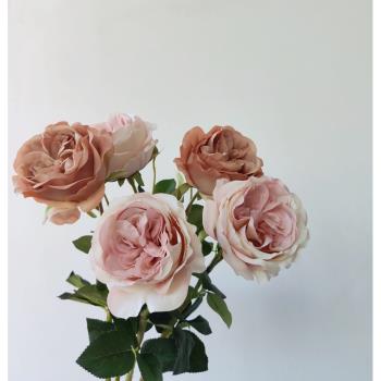 仿真單頭莫里奧斯汀玫瑰 莫蘭迪色花系 復古花藝設計 拍攝道具