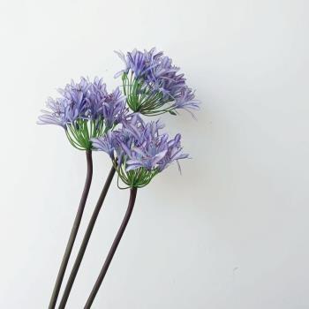 高仿真藍色百子蓮假花花藝配花假花仿真花 客廳高質樣板間花卉