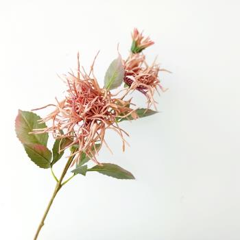 仿真花蟹爪菊室內裝飾假花藝北歐現代客廳餐桌插花擺件家居裝飾品