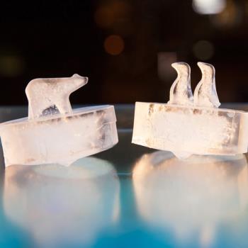 威士忌硅膠冰格模具 冰塊制冰 凍冰球 企鵝北極熊冰球