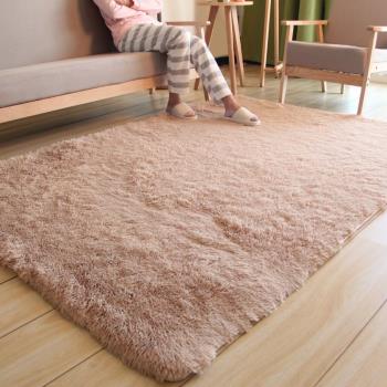 客廳地毯大面積臥室少女床邊可睡坐房間全鋪毛絨粉色網紅毛毯地墊