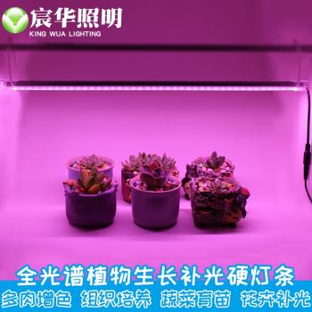 蔬菜育苗植物補光低電壓12V LED