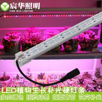 LED植物生長多肉補光燈紅藍光上色溫室蔬菜瓜果LED硬燈條低壓12V