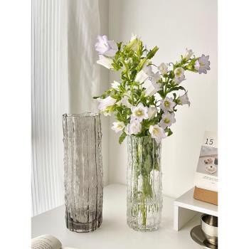 冰川玻璃插花瓶ins風復古高級感水培綠植透明鮮花瓶客廳餐桌擺件
