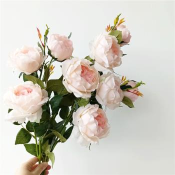 仿真手感保濕奧斯丁玫瑰絹花假花家居裝飾美陳花藝師婚禮花材