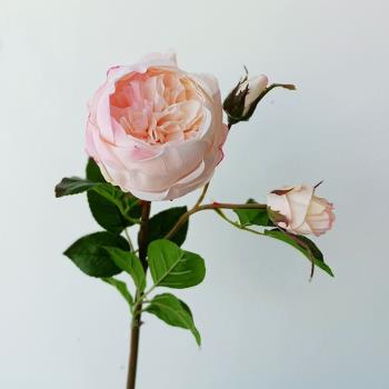 H仿真三叉粉色玫瑰花假花花藝 客廳裝飾插花餐廳絹花美式家居飾品