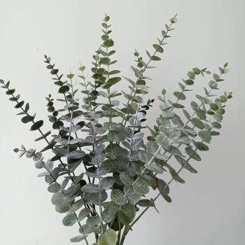 北歐風仿真綠植假花裝飾葉子單支金錢葉客廳擺件插花瓶配葉尤加利