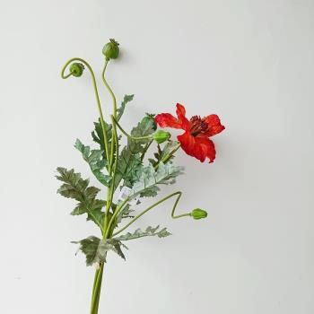 北歐高質輕奢風罌粟花模擬裝飾花擺件樣板間餐桌花藝設計做景花材