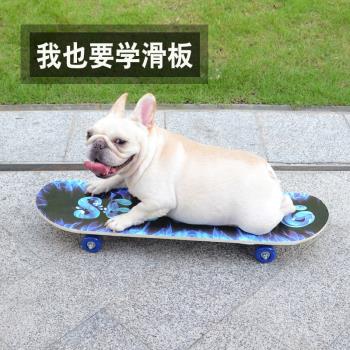 寵物滑板訓練法鬥英鬥鬥牛犬玩具狗狗專用滑板抖音寵物攝影道具