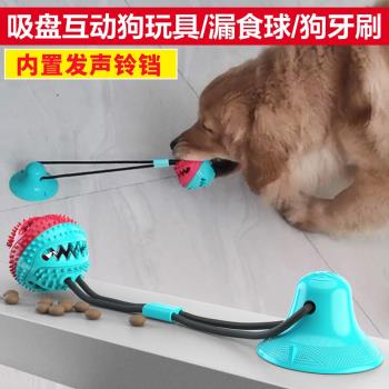 Pet Mola狗狗玩具球磨牙漏食器啃咬吸盤組合金毛法斗潔齒寵物用品
