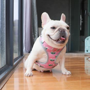 Marvelous Dog狗狗防勒胸背多點式調節法鬥巴哥柯基泰迪牽引繩
