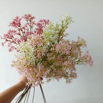 韓式清新仿真花 塑料粉色飄雪草 滿天星家居客廳桌面擺放小假花