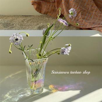ins北歐簡約透明玻璃花瓶琥珀色精致輕奢裝飾擺件水培植物插花瓶